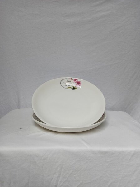 Ensemble d'assiettes blanches élégantes