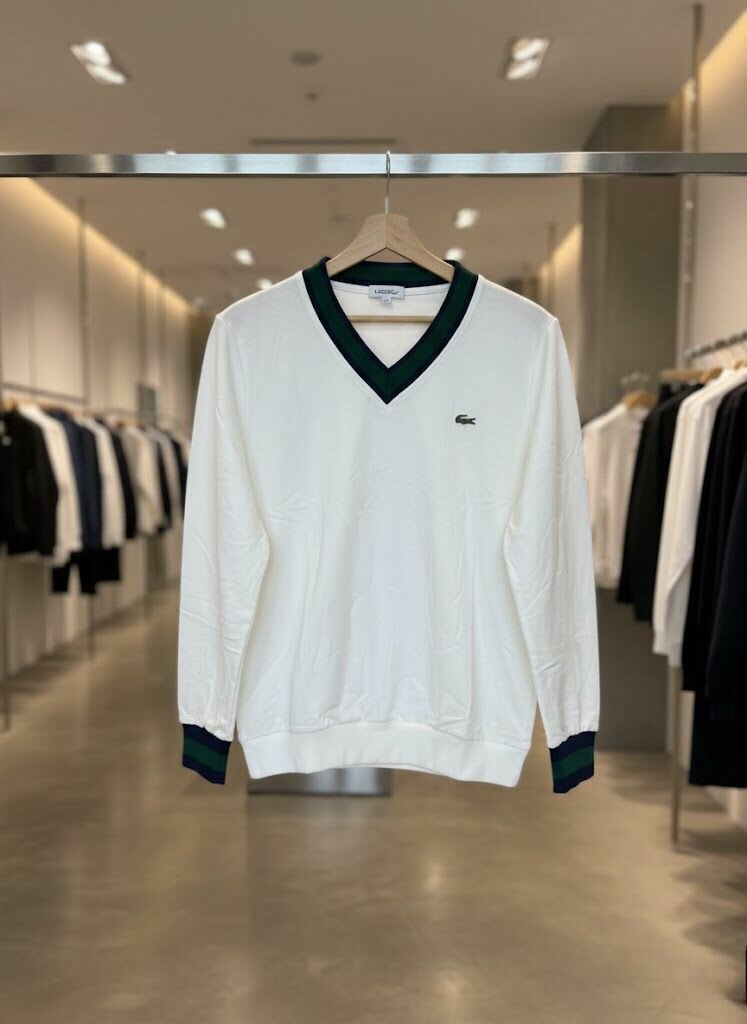 Pull col V classique homme