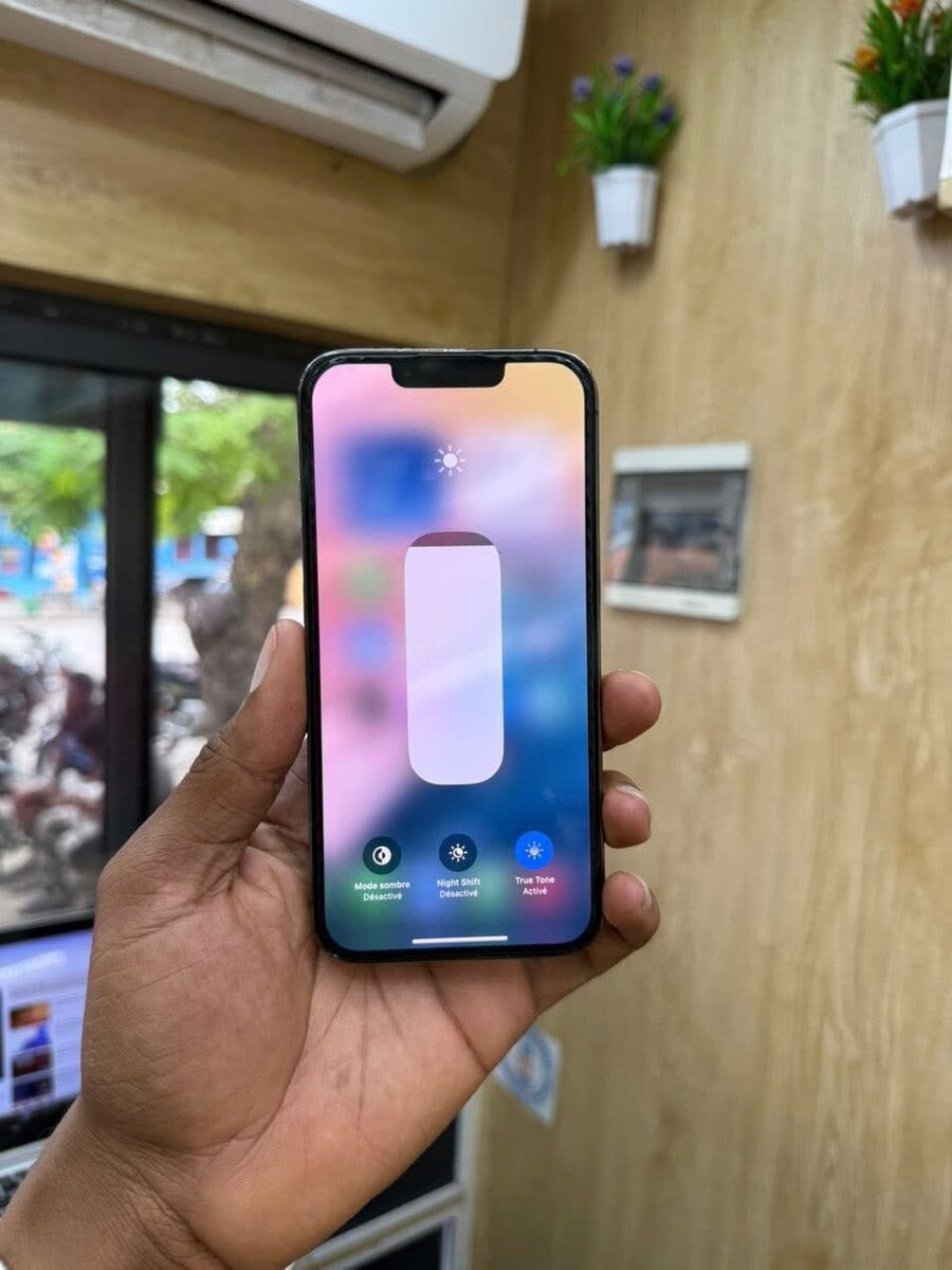 iPhone 13 Pro Max 256 Go