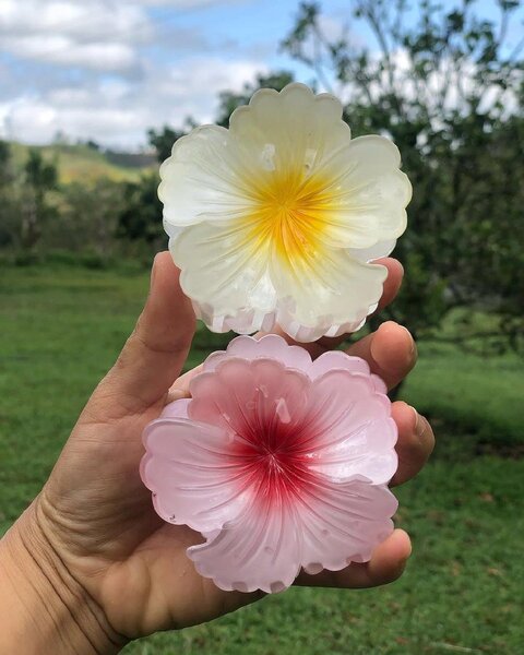 Savons Fleur Aromatiques