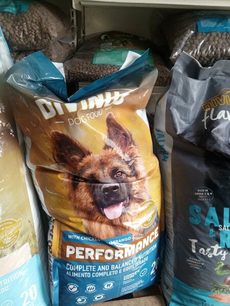 Nourriture pour chiens au saumon