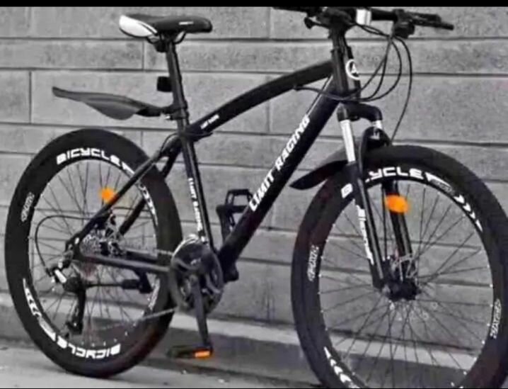 VTT Haut de Gamme Résistant