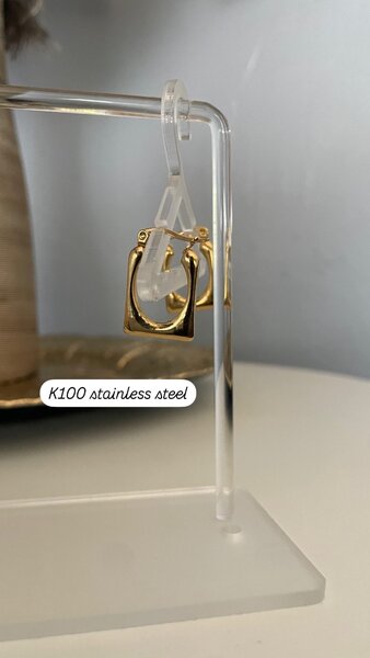 Stainless steel earrings