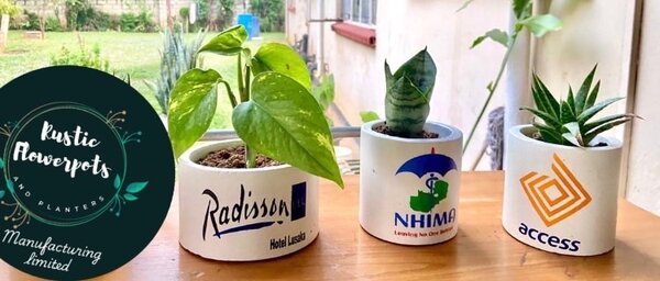 Corporate succulent gifts.