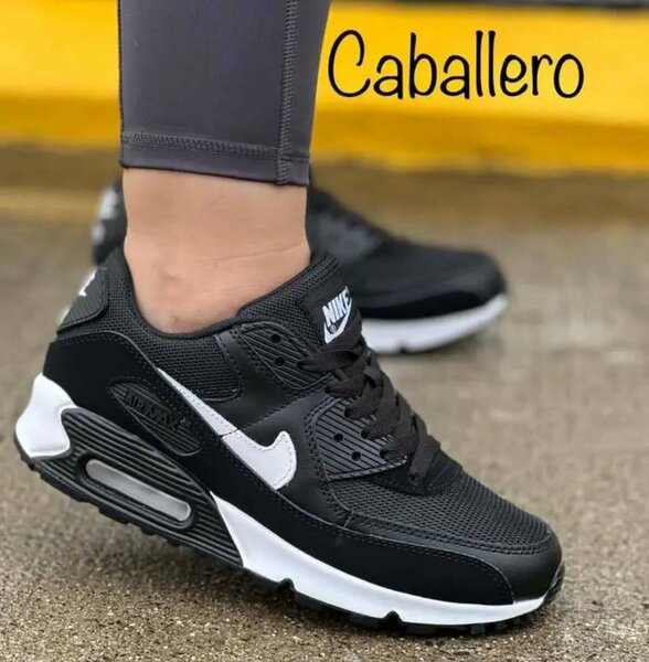 Baskets Air Max