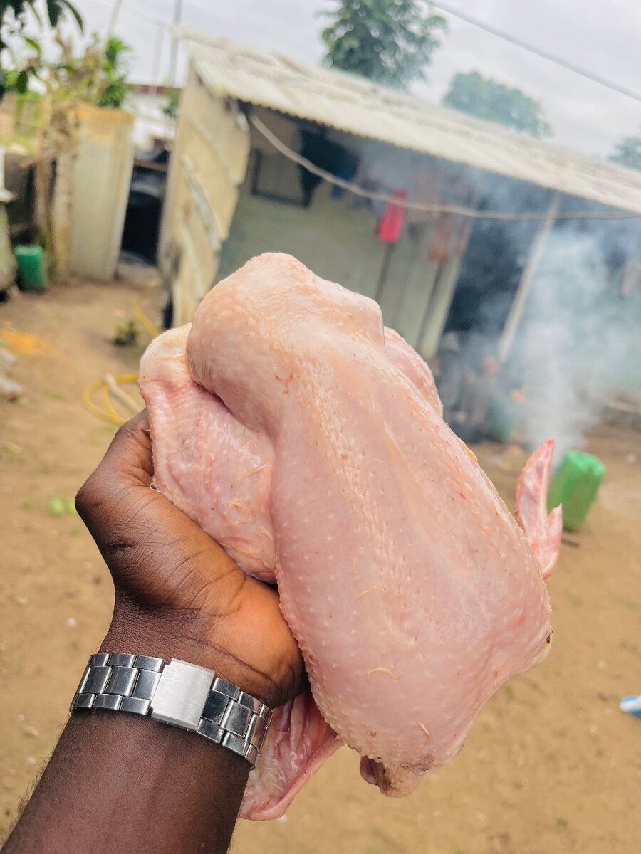 Poulets de chairs frais