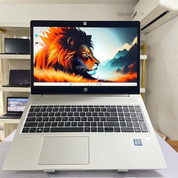 HP ProBook 450 G6 i5 8ème