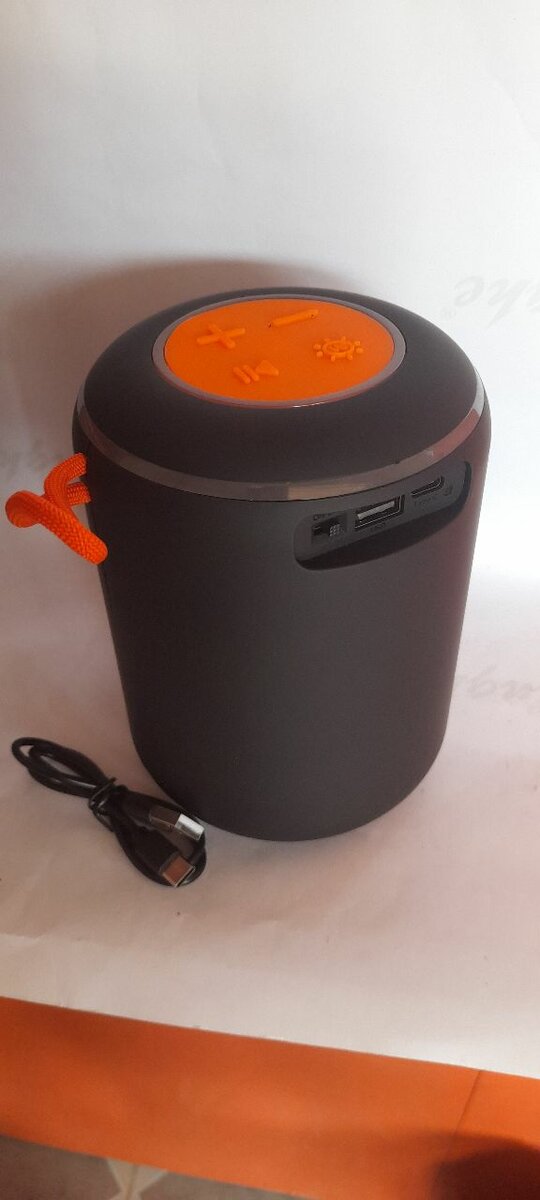 Haut-parleur Bluetooth Portable