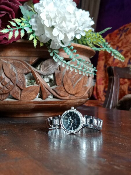 Ladies watch