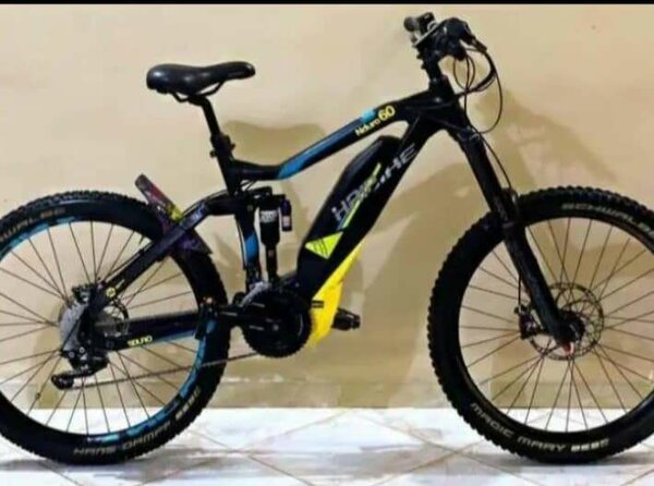 Vélo Électrique VTT Tout Terrain