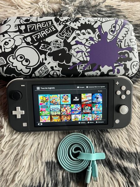 Nintendo Switch Lite Craqué