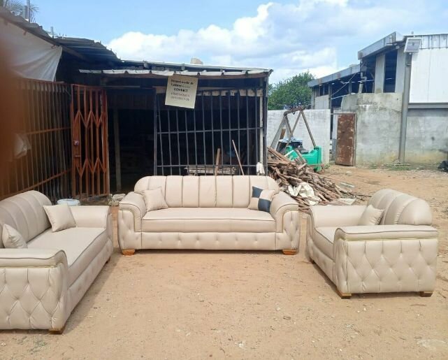 Canapés élégants en cuir