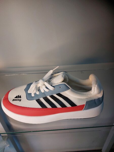 Tenis