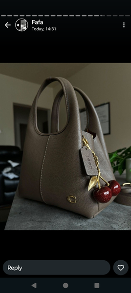 Ladies bag