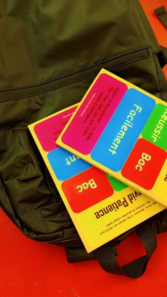 Livre "Réussir le Bac Facilement"