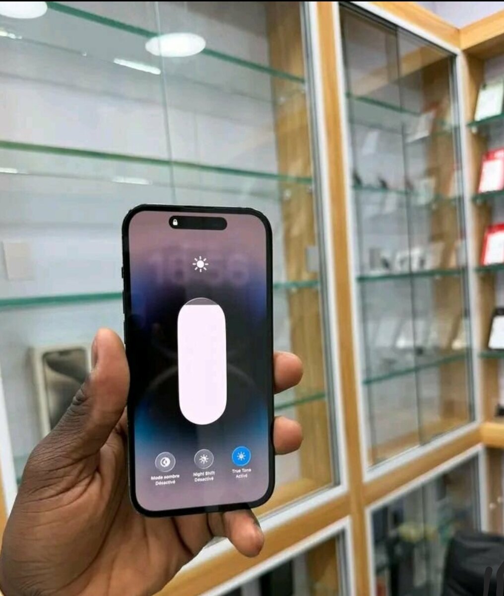 iPhone Pro Max 256GB