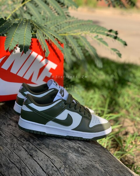 Nike Sb Dunks Low Olive