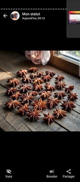 Badiane Indienne Étoilée