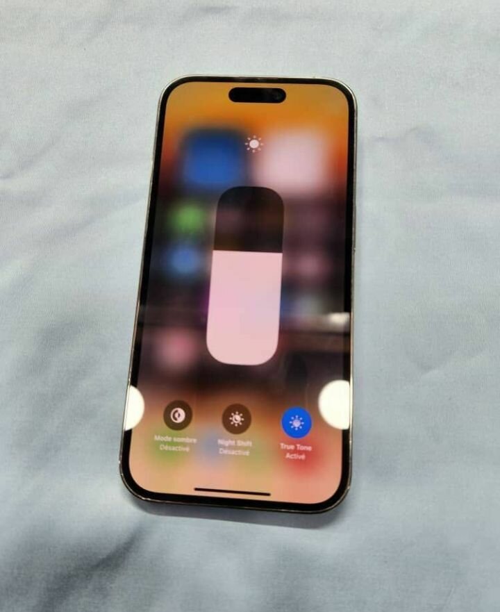 iPhone 13 Pro Max 256Go