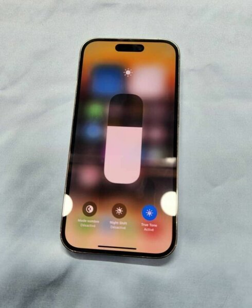 iPhone 13 Pro Max 256Go