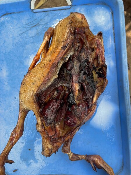 Canard séché artisanal