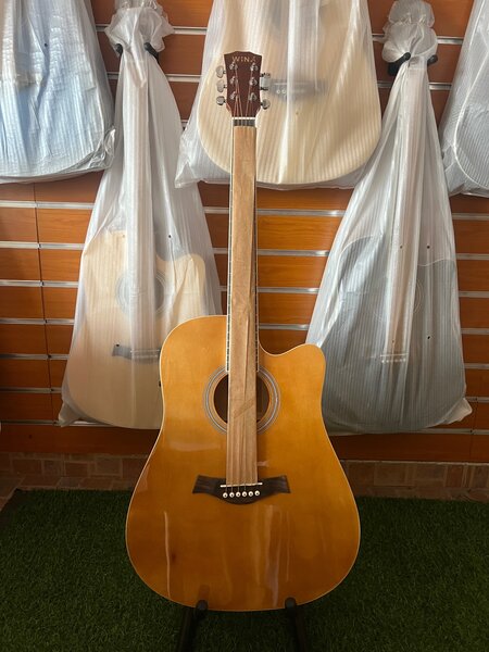 Semi acoustic guitar + Bag