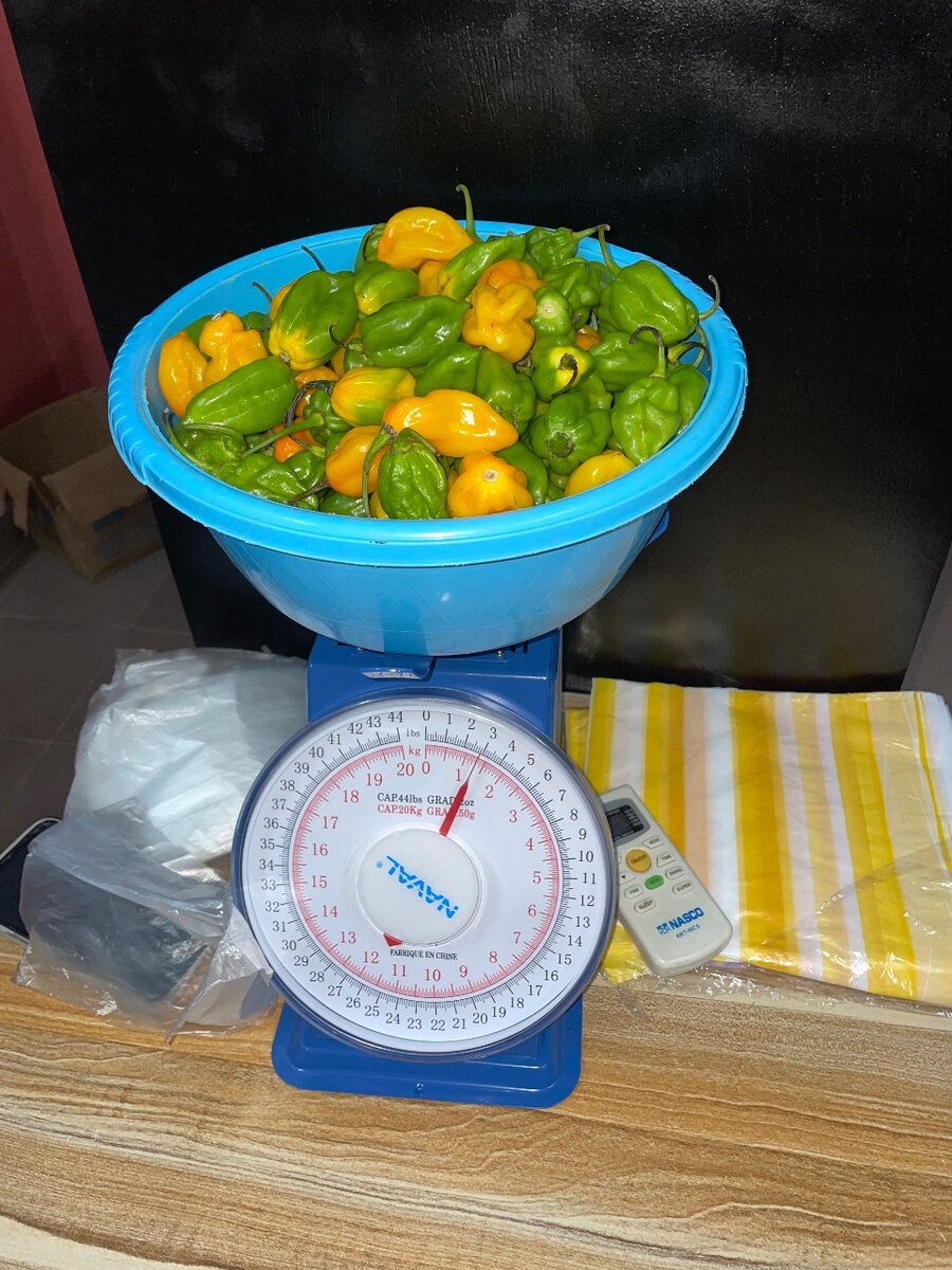 Légumes bien fraîche