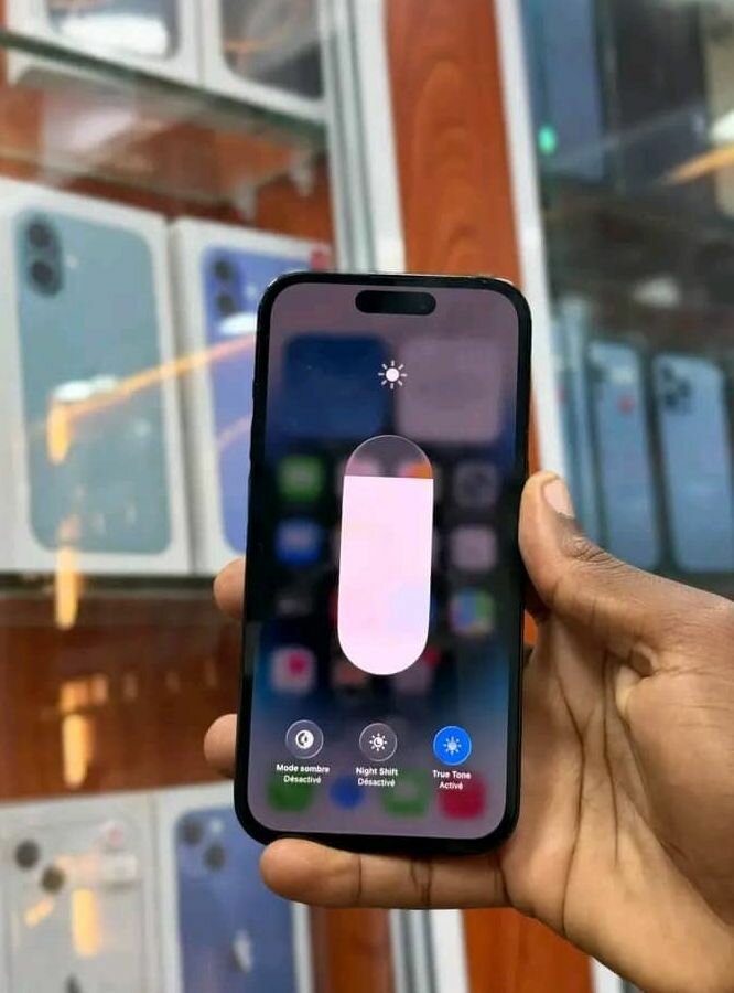 iPhone Pro Max 256 Go Gris