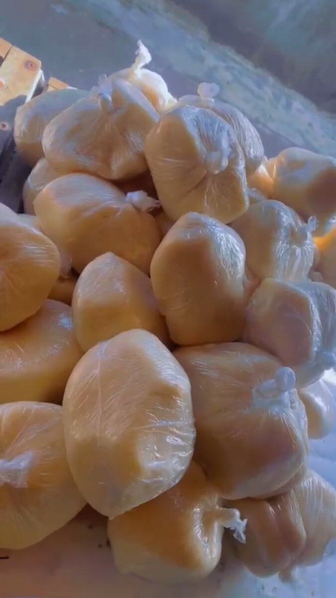 Spécialité Garba Thon