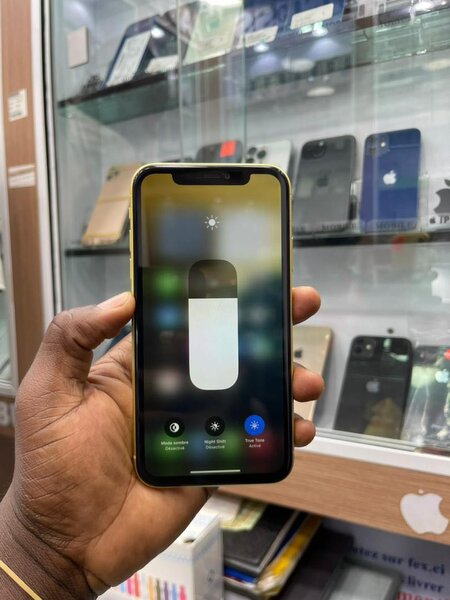 iPhone 11 sans id 256g