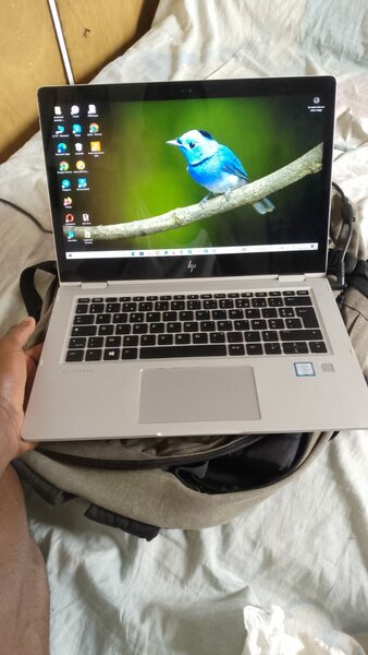 Ordinateur portable HP