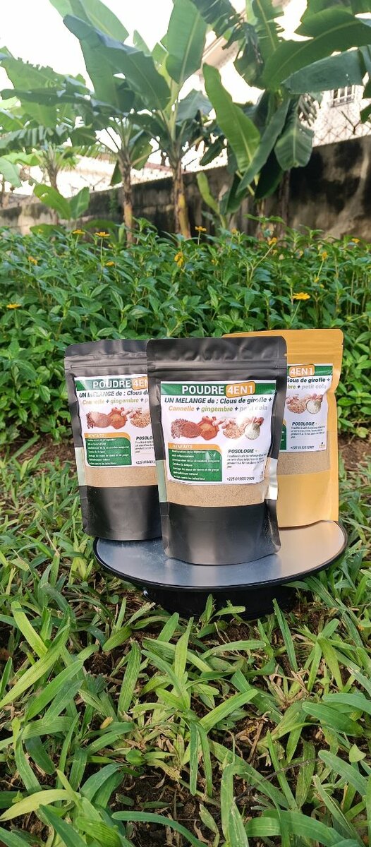 Mélange Poudre 4en1