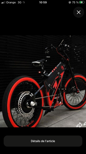 Vélo Électrique Tout-Terrain