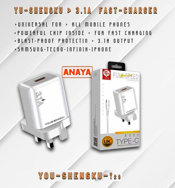3.1A Fast Charging Charger UK pin