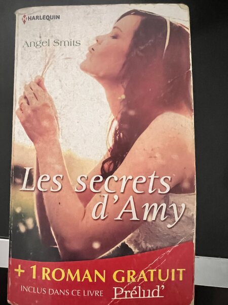 Les secrets d'Amy - Roman