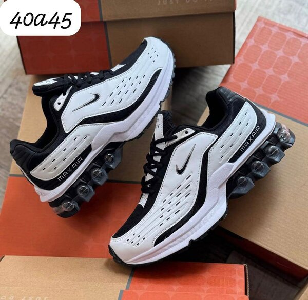 Baskets Air Max classiques