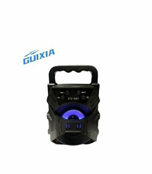 Enceinte Bluetooth Portable Puissante GUIXIA