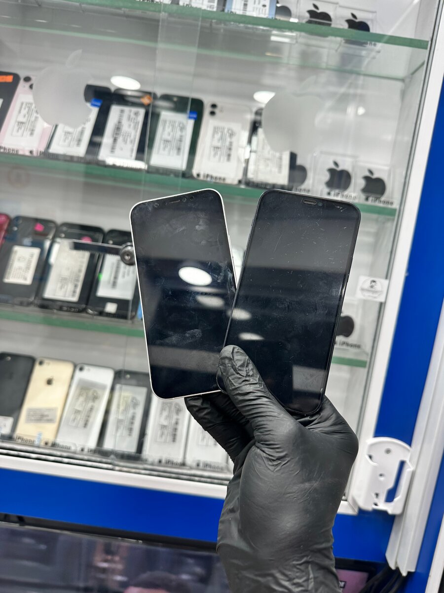 iPhone 12 simple Noir et Blanc