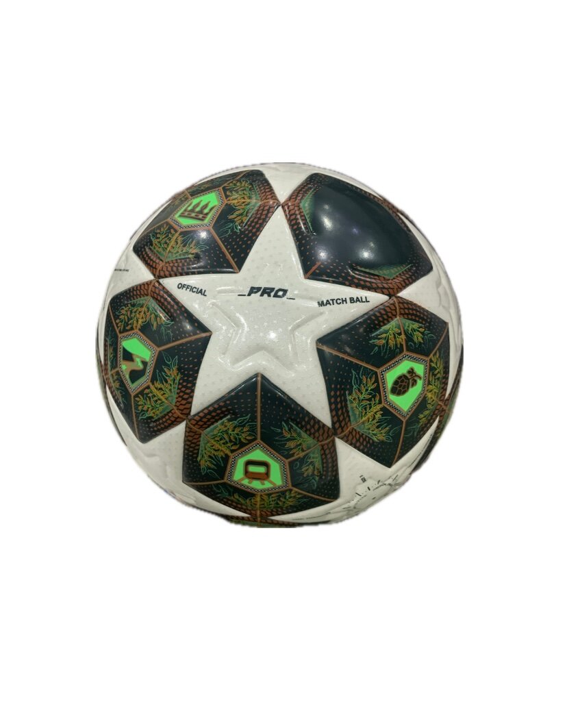 Ballon de football Taille 5