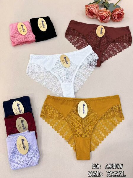 Culottes en Dentelle Grande Taille