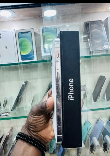 iPhone13 Pro Max Argent