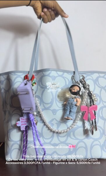 Stylish Tote Bag with Accessories