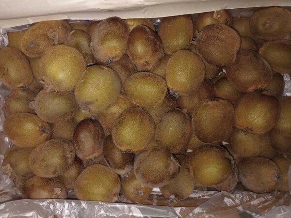 Kiwi frais délicieux 170p