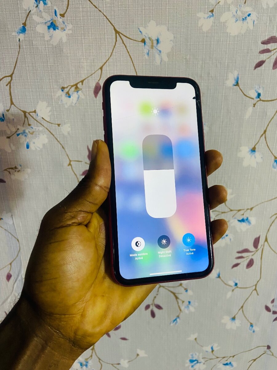 iPhone 11 Blanc Débloqué