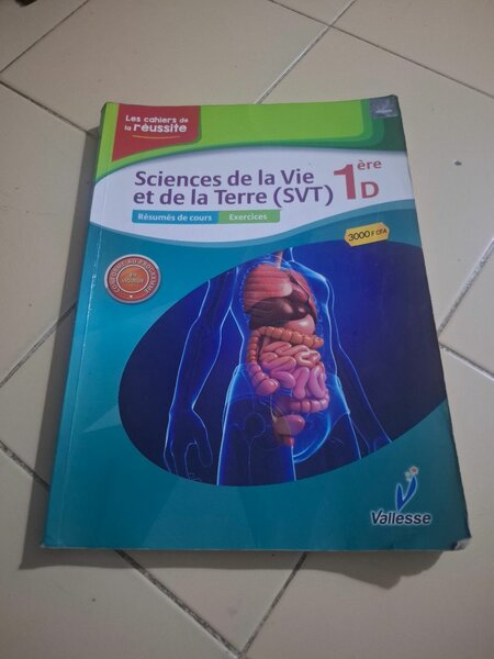 Soundjata - Roman captivant