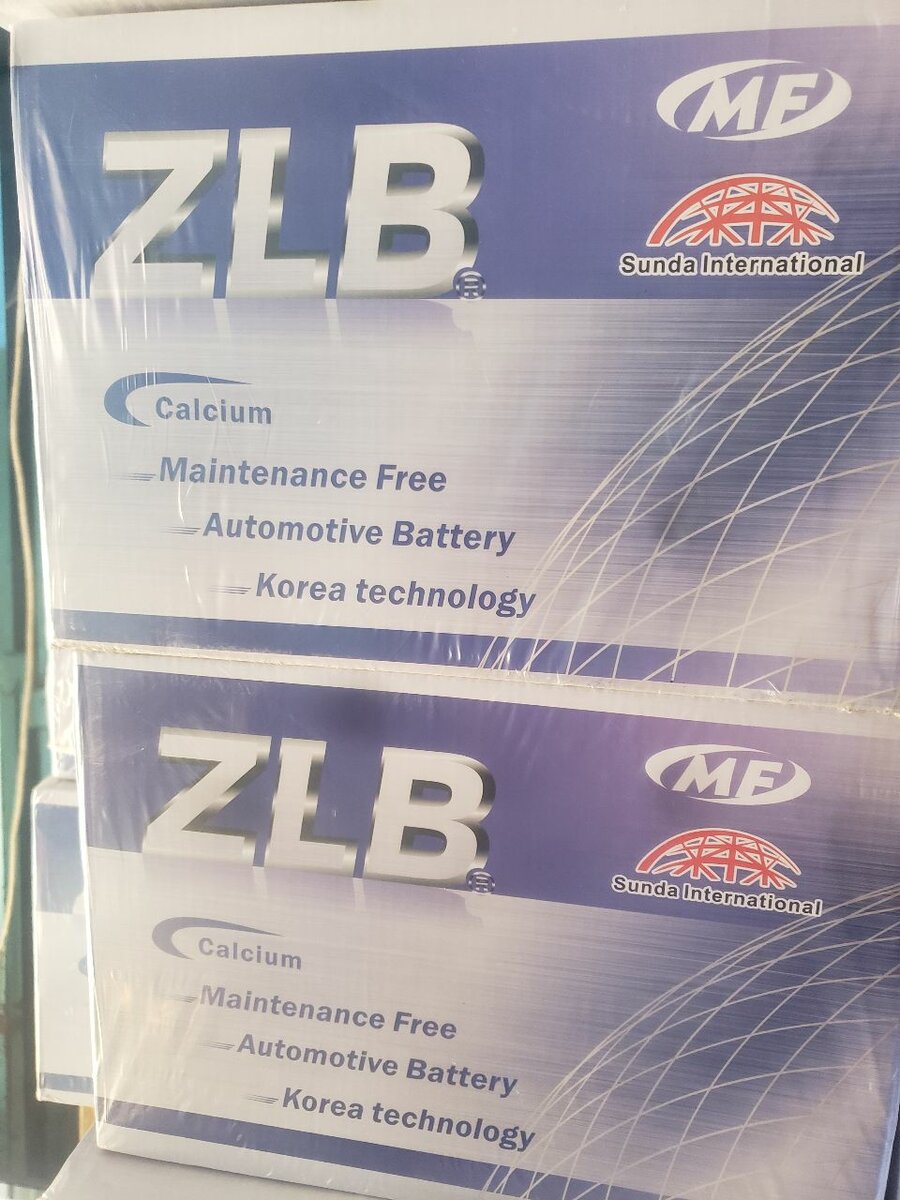 ZLB Maintenance Free Battery