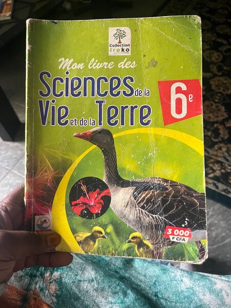 Livre d'anglais 6e