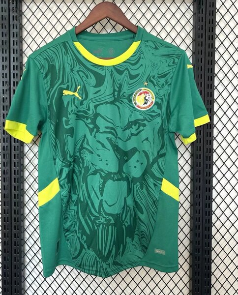 Maillot de football du Sénégal