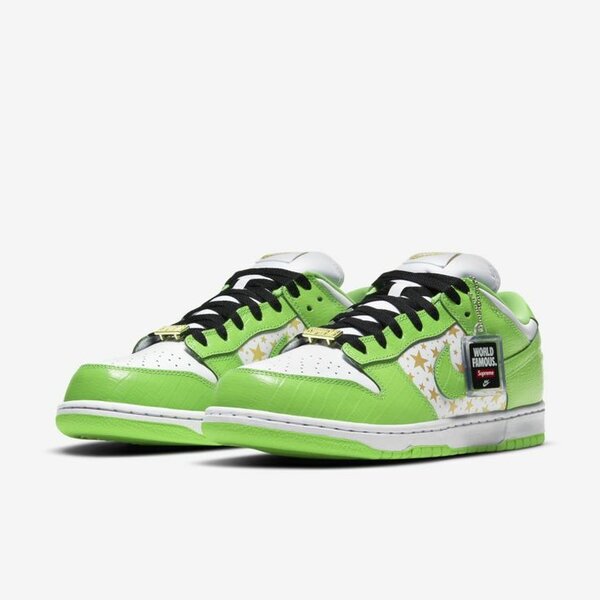 Dunk sb famous world suprême