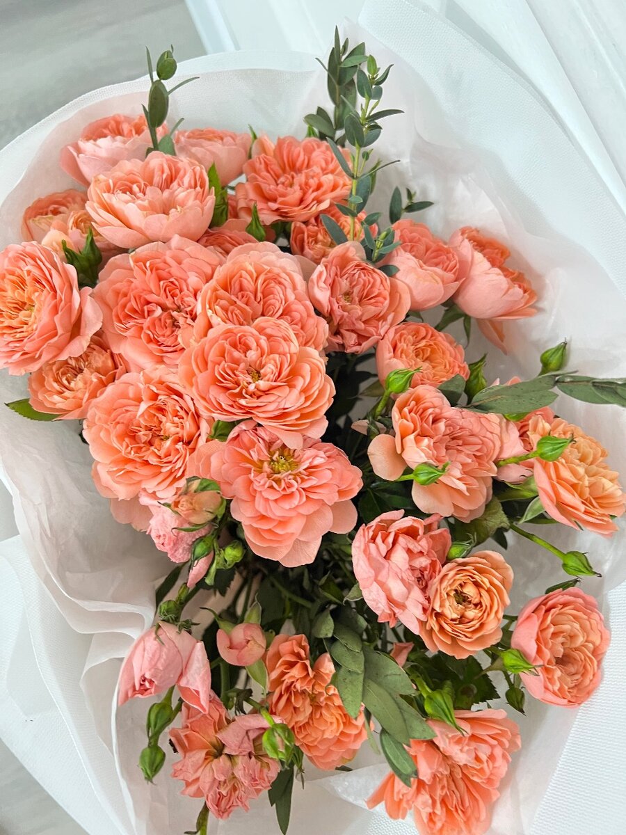 Персиковые розы